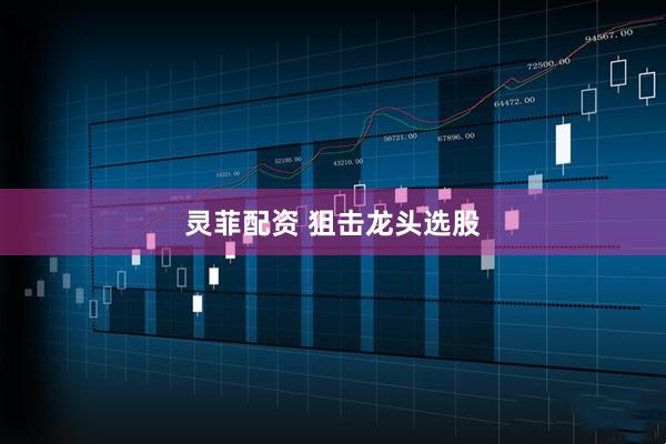 灵菲配资 狙击龙头选股